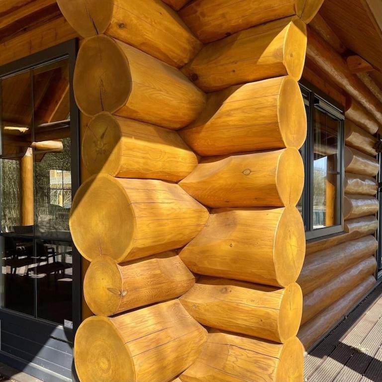 Unieke Houten Villa Met Sauna In Twente - 5P Den Ham エクステリア 写真
